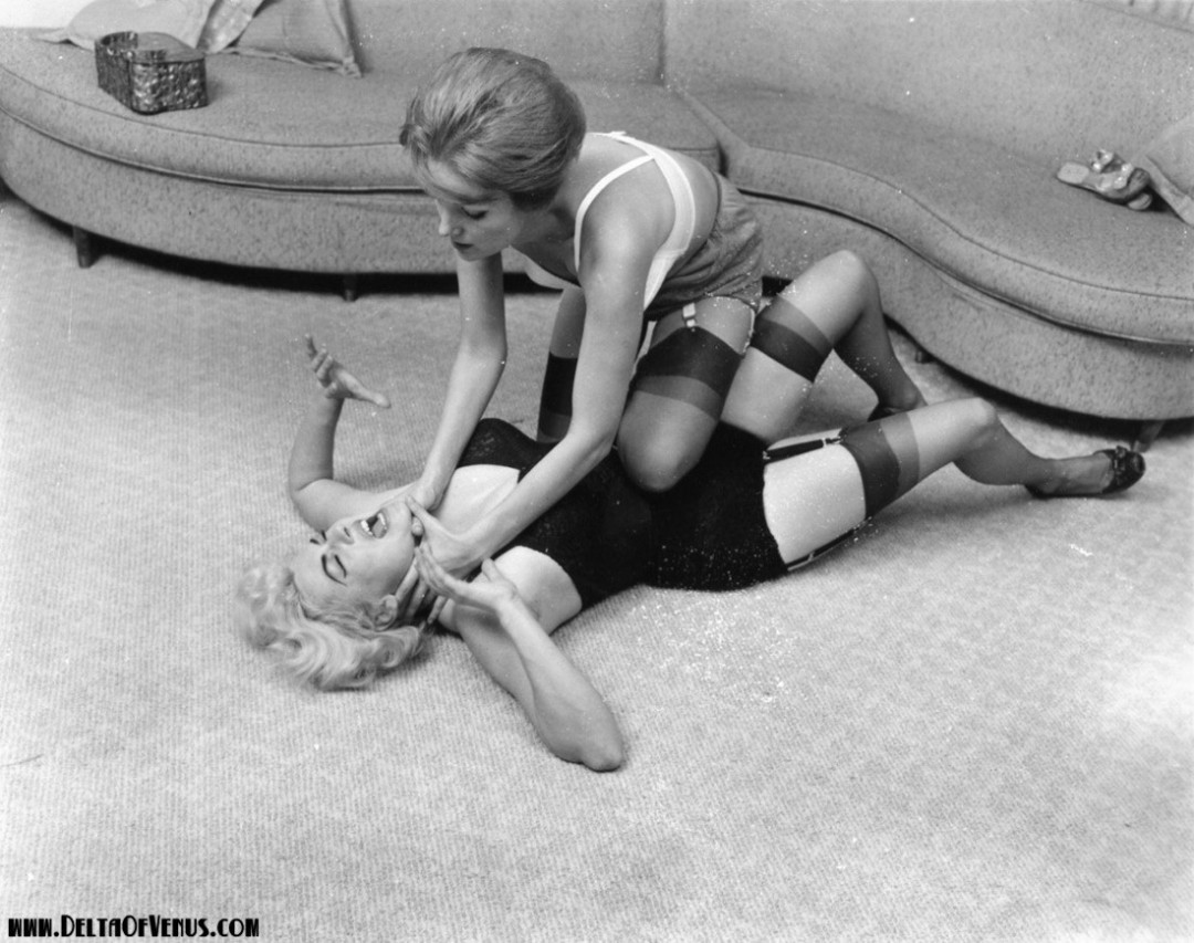 Erotic Catfight 25