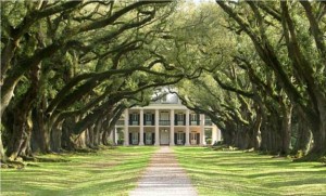 plantation