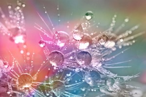 drop-of-water-862316_640